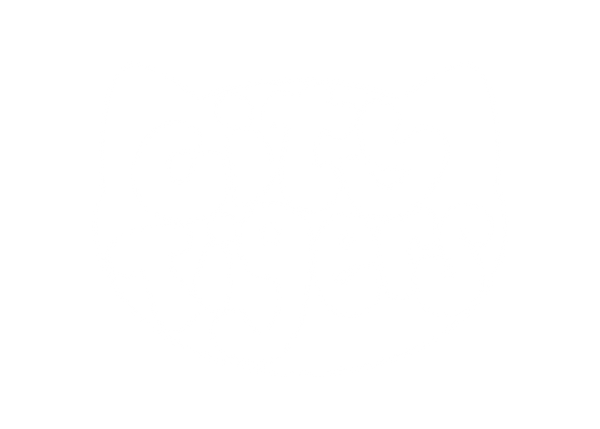 thecitytigers logo